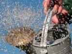 BSPFWaterRestrictions